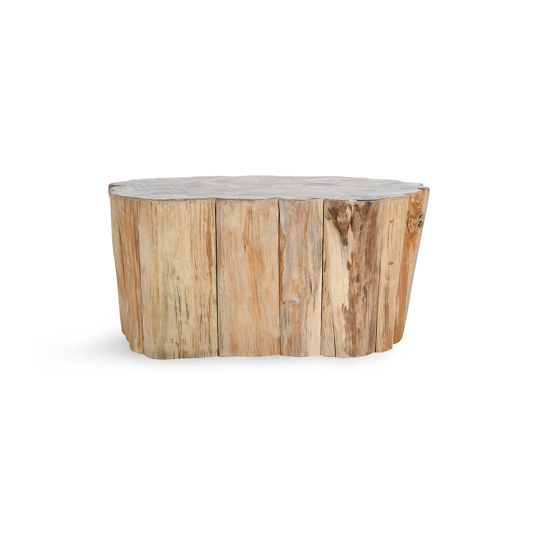 Norwest Petrified Wood Coffee Table - Natural Live Edge, Unique Rustic Home Decor for Living Room, Perfect for Farmhouse & Modern Interior Design