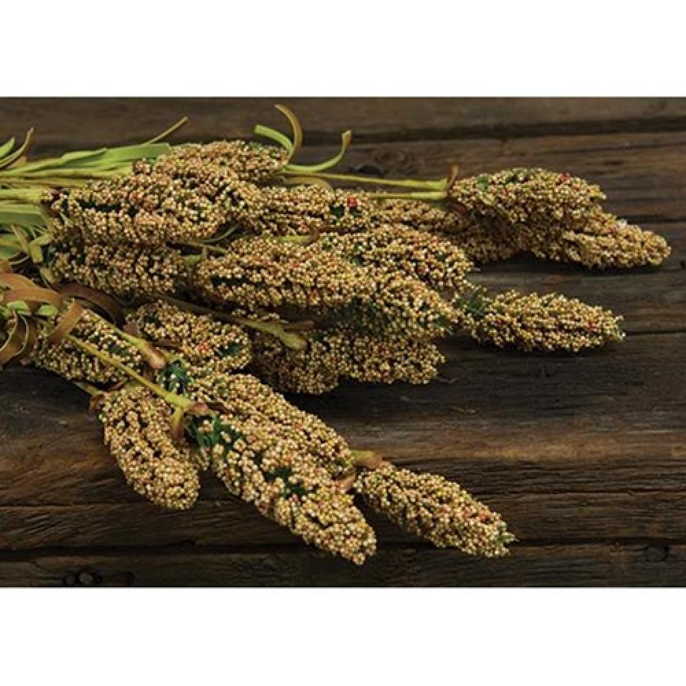 Organic Millet Heather Bush Yellow 24 - Premium Dried Flowers for Home Decor, Wedding Bouquets & DIY Crafts | Perfect for Rustic Centerpieces, Floral Arrangements & Gift Wrapping