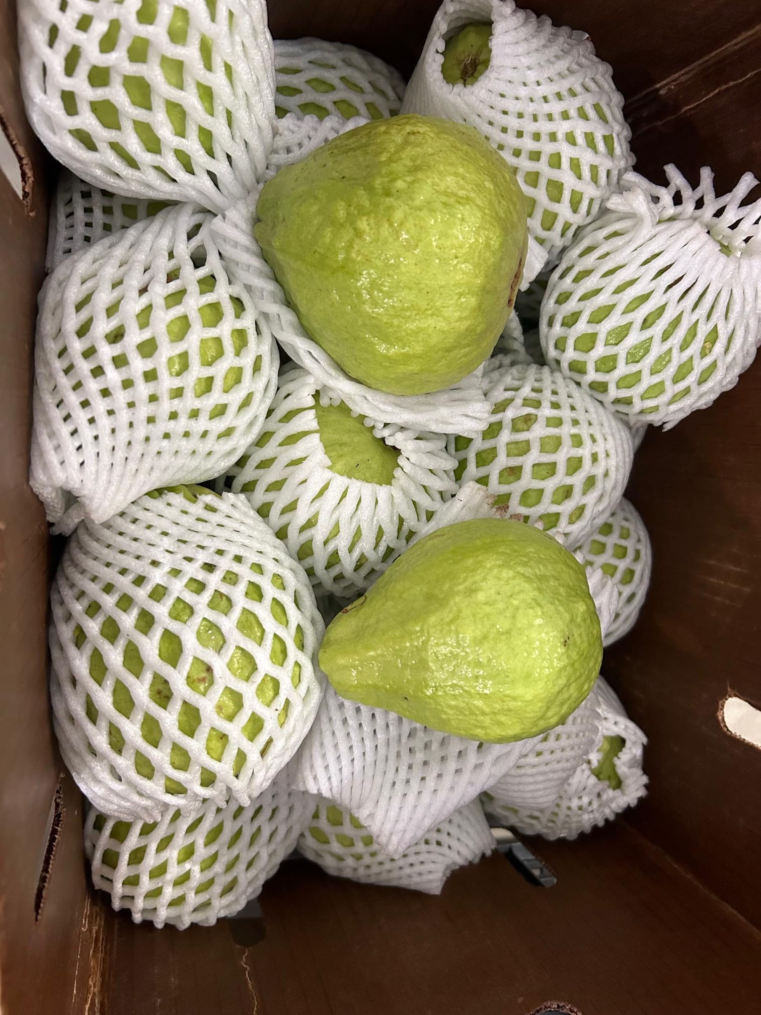 Fresh White Guava Fruit 10 lbs - Tropical Sweet Exotic Fruit for Smoothies, Juices & Healthy Snacks