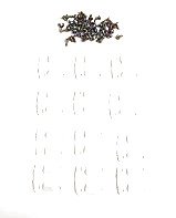 JSP Manufacturing Coleman Cooler Replacement Hinges with Stainless Steel Screws (12-Pack) – Perfect for Repairing Coleman Coolers, Camping Gear, and Outdoor Equipment