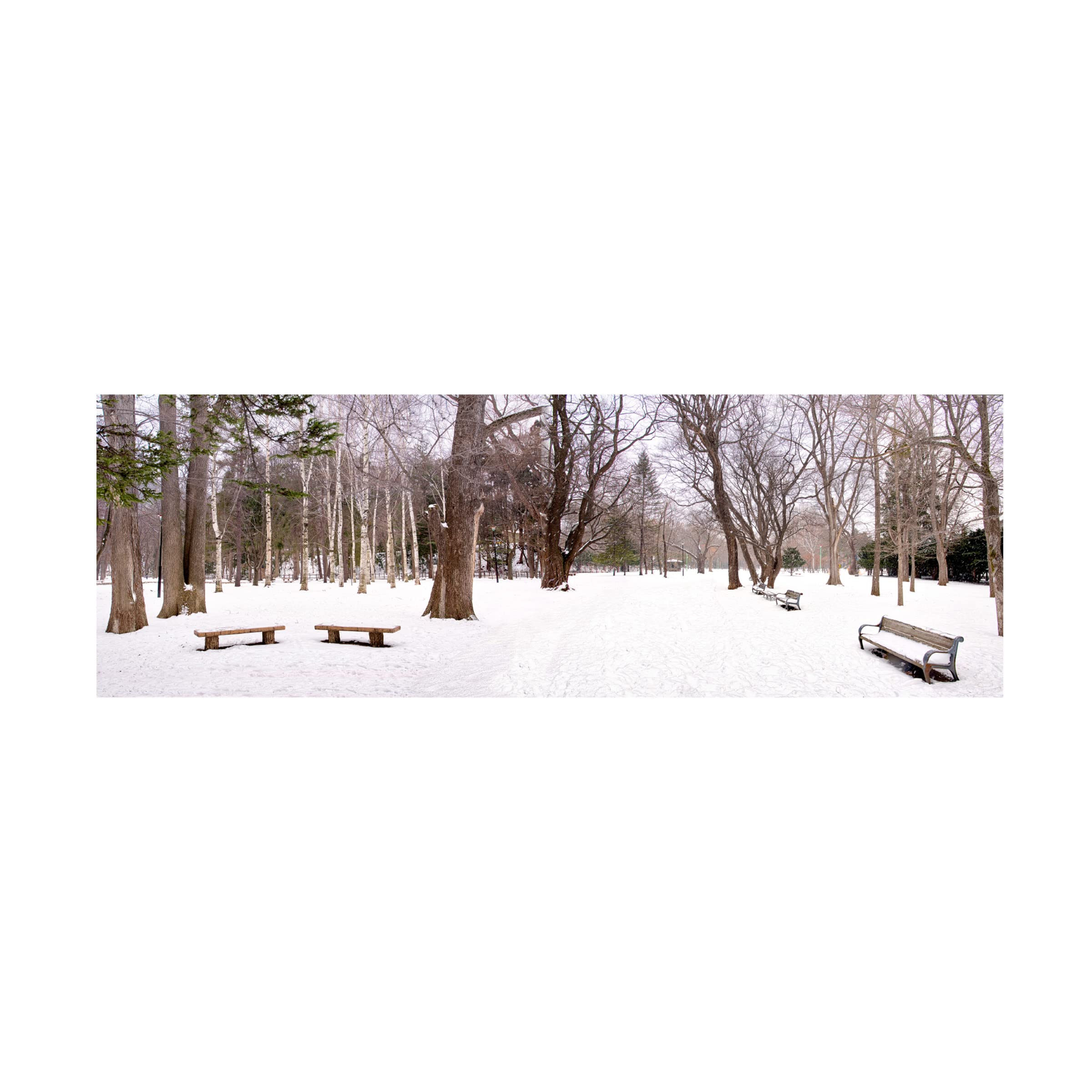 Trademark Fine Art 'Hokkaido 11' Landscape Canvas Wall Art by Alan Blaustein - Perfect for Living Room, Bedroom & Office Decor
