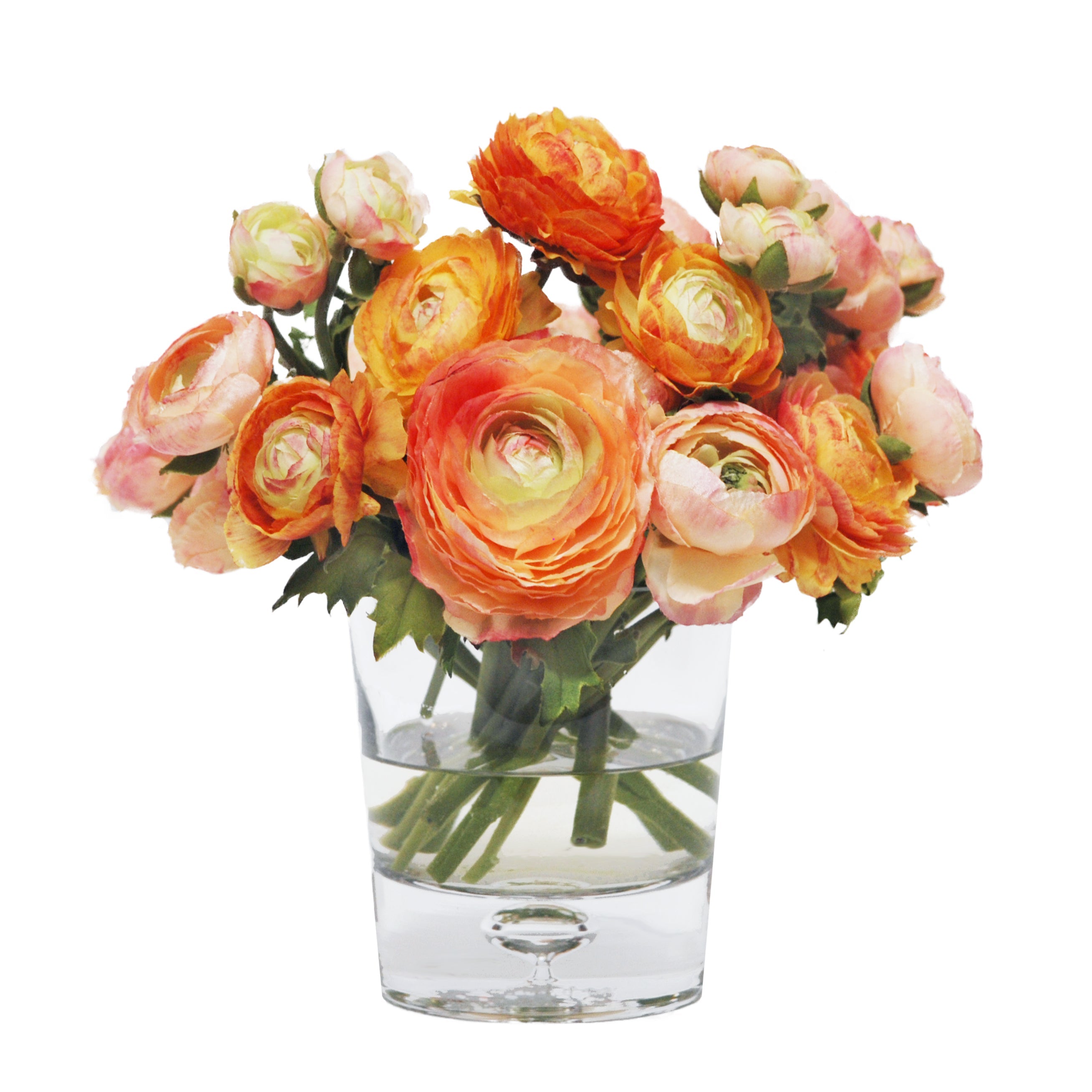 Sunrise Ranunculus Flowers - Fresh Cut Bulk Garden Roses for Weddings, Bouquets, and Home Decor