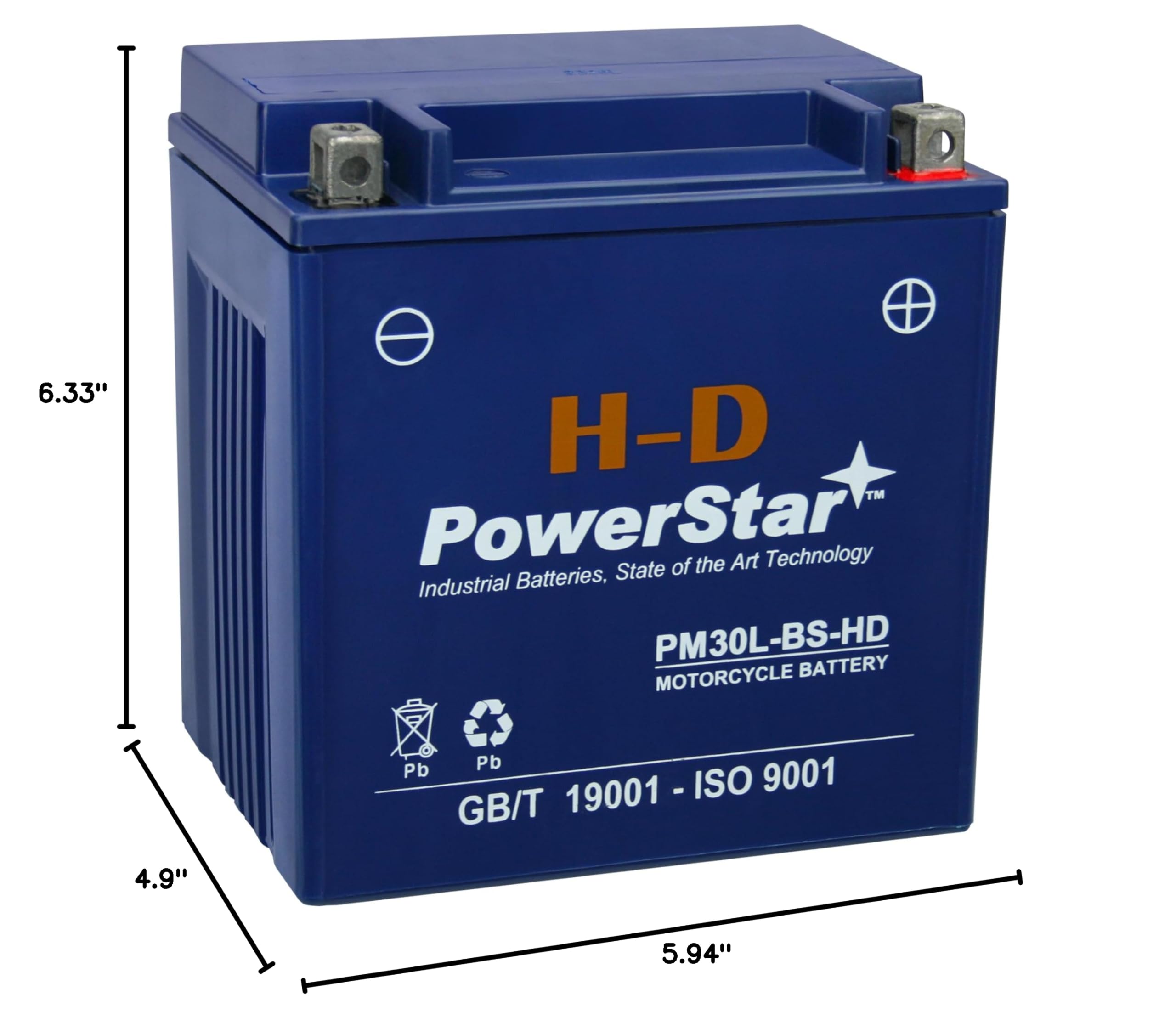 PowerStar YTX30L-BS Replacement Battery & Charger for Harley-Davidson FL FLH Series Touring 1450CC 1999+ - Compatible with Motorcycles, ATVs, and Power Sports - Perfect for Long Rides and Off-Road Adventures