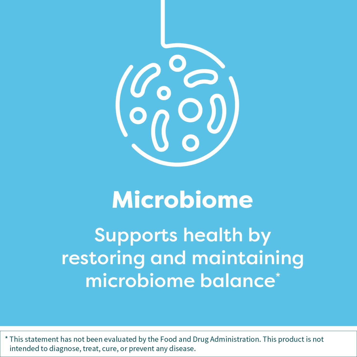 Klaire Labs ABX Support Probiotic - 10 Billion CFU Supplement for Gut Health During Antibiotic Therapy | Hypoallergenic, Non-Dairy, Gluten-Free | Supports Digestive & Immune System (2 Pack, 28 Capsules) - Ideal for Travel, Post-Surgery Recovery & Daily Wellness