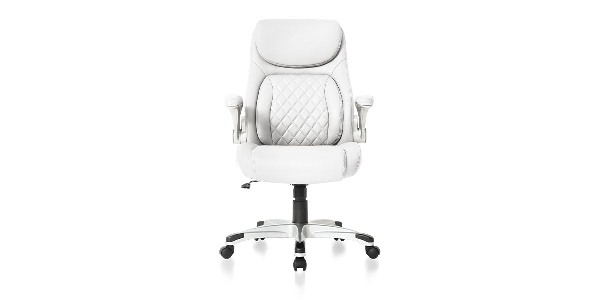 NOUHAUS Ergonomic Office Chair with PU Leather - Adjustable Lumbar Support & Posture Correction for Home & Office Workspaces