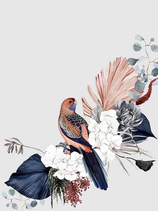 Blushing Rosella Unframed Art Print - Vibrant Wall Decor for Living Room, Bedroom & Office - Perfect Gift for Bird Lovers & Home Decor