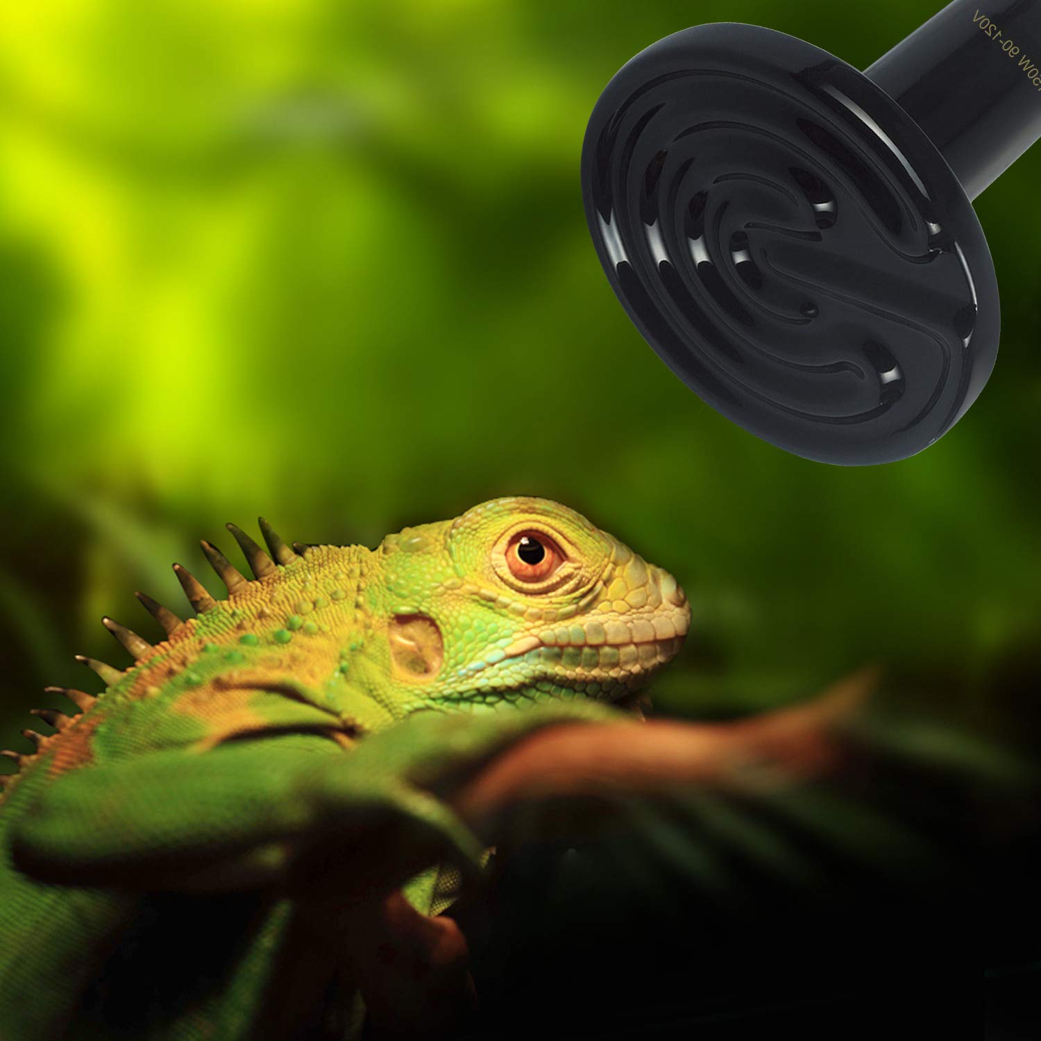OMAYKEY 2-Pack 150W Ceramic Heat Lamp with Digital Thermometer - Infrared Heat Emitter Bulbs for Reptiles, Amphibians, Chickens, Lizards, Turtles & Snakes - No Light, No Harm - Perfect for Terrariums, Brooder Coops & Aquariums