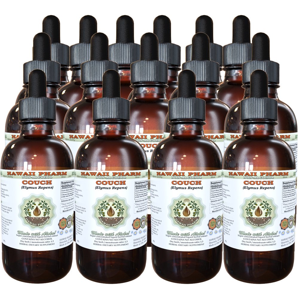 Organic Couch (Elymus Repens) Alcohol-Free Liquid Extract - Dried Root Glycerite, 15 x 4 oz - Herbal Supplement for Digestive Support & Wellness | Perfect for Tea, Tinctures & Natural Remedies