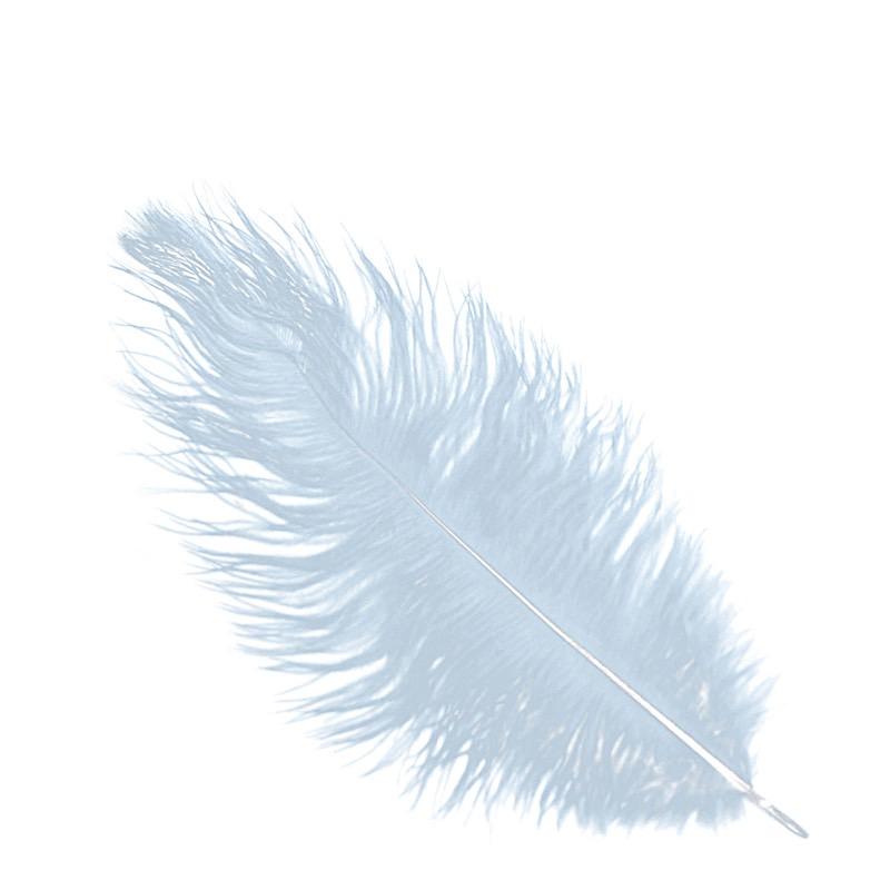 12 Pcs 10-15 Inch Genuine Ostrich Feathers for DIY Crafts, Wedding Decorations, and Costume Accessories