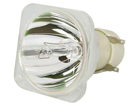 CTLMAP Replacement Projector Lamp Bulb with Housing - Compatible with SP-LAMP-103, Infocus IN119HDG & SP1081HD - Ideal for Home Theater, Office Presentations & Classroom Projectors