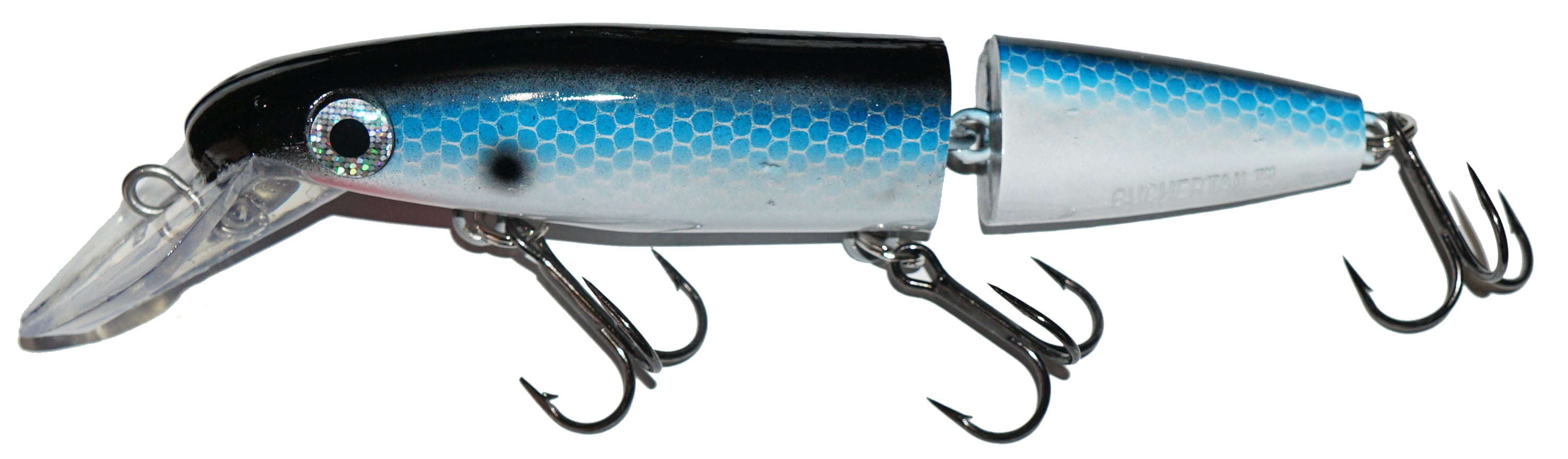 baitfish