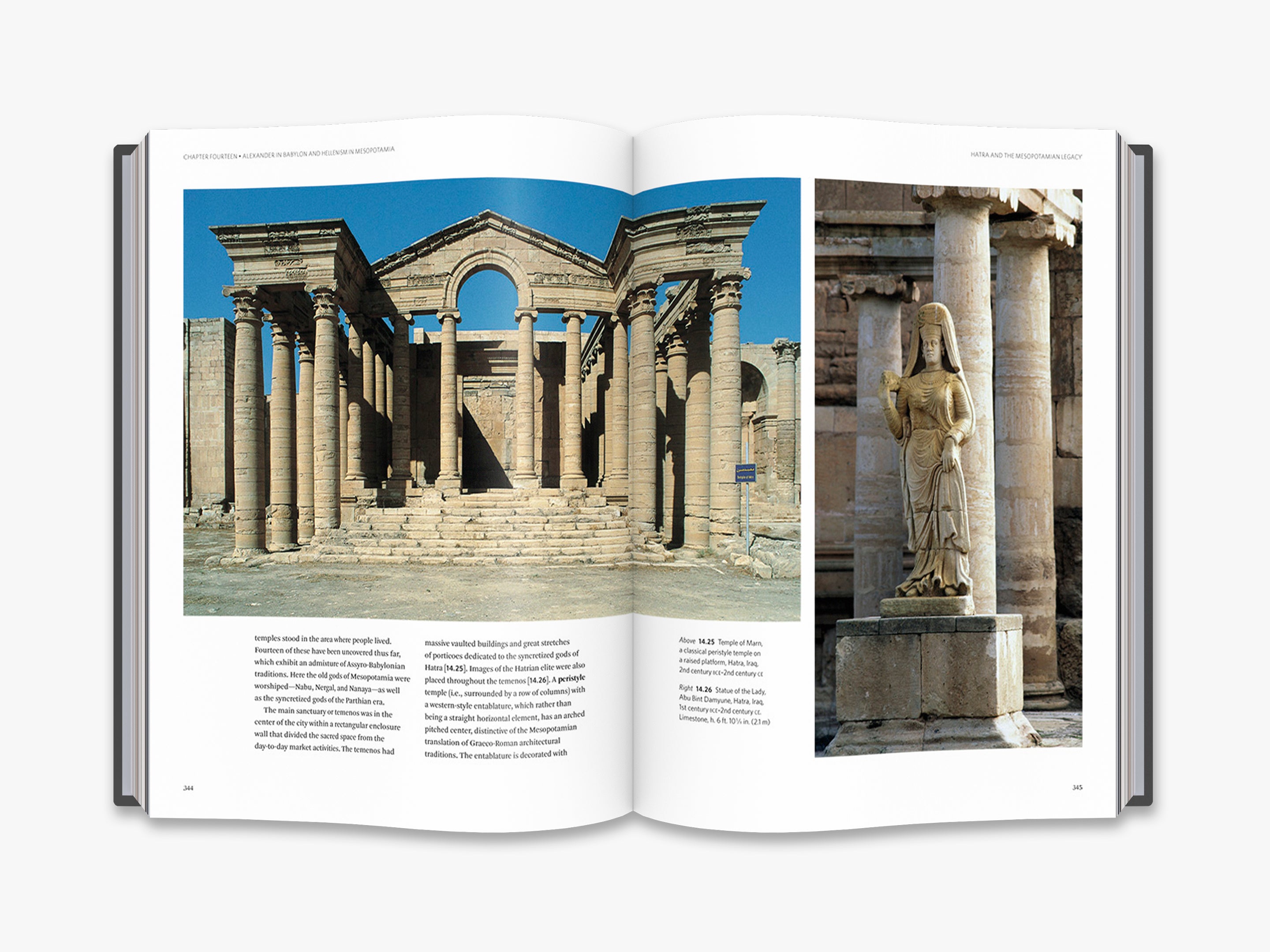 Mesopotamia Ancient History Books & Artifacts - Explore Sumerian, Babylonian, Akkadian Civilizations | Perfect for History Buffs, Classroom Learning & Cultural Decor