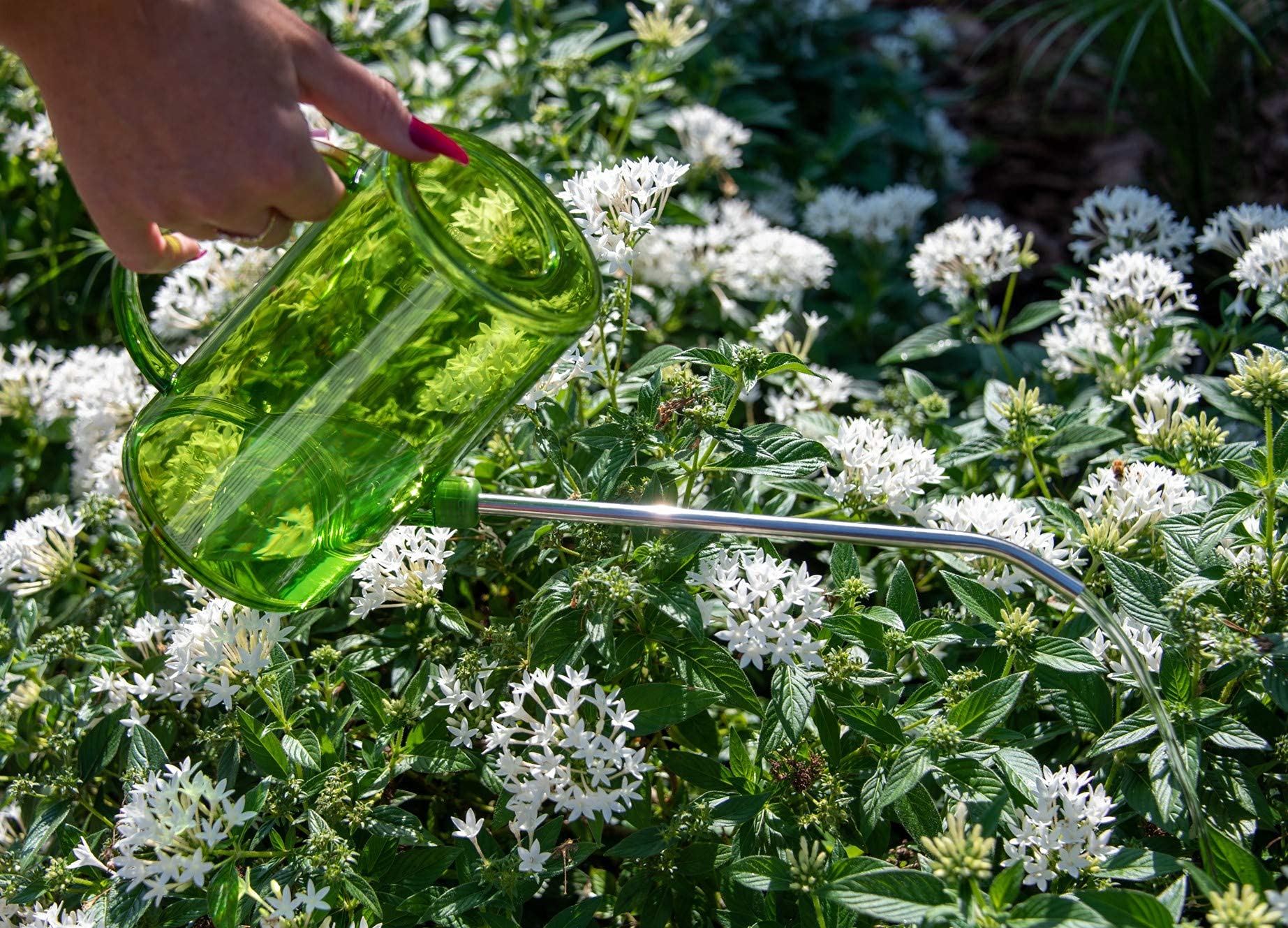 Long Spout Plastic Watering Can for Indoor Plants with Clear Measurable Scale & Detachable Spout – Perfect for Small Hanging Plants, Houseplants, Succulents, Flowers & Outdoor Gardening – Ideal for Precise Watering in Greenhouses, Balconies & Home Gardens
