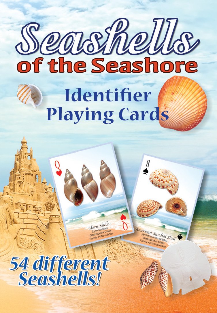 Seashells of The Seashore Playing Card Deck - Premium Ocean-Themed Cards for Collectors & Games | Perfect for Beach Parties, Casino Nights & Gift Giving