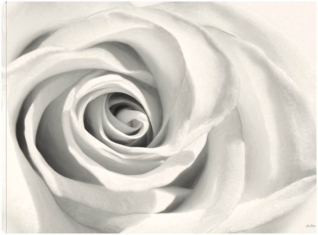 Lori Deiter Fine Art Canvas Rose II Wall Decor - 32x24 Inches - Ready to Hang Floral Painting for Living Room, Bedroom, Office - Perfect for Home, Hotel & Restaurant Decor