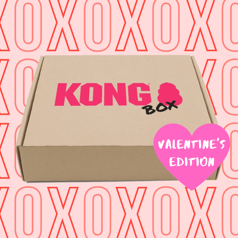 Kong Puppy Love Box - Durable Dog Chew Toys for Puppies, Interactive Treat Dispenser for Small & Medium Dogs - Perfect for Teething, Training & Playtime at Home or Outdoors