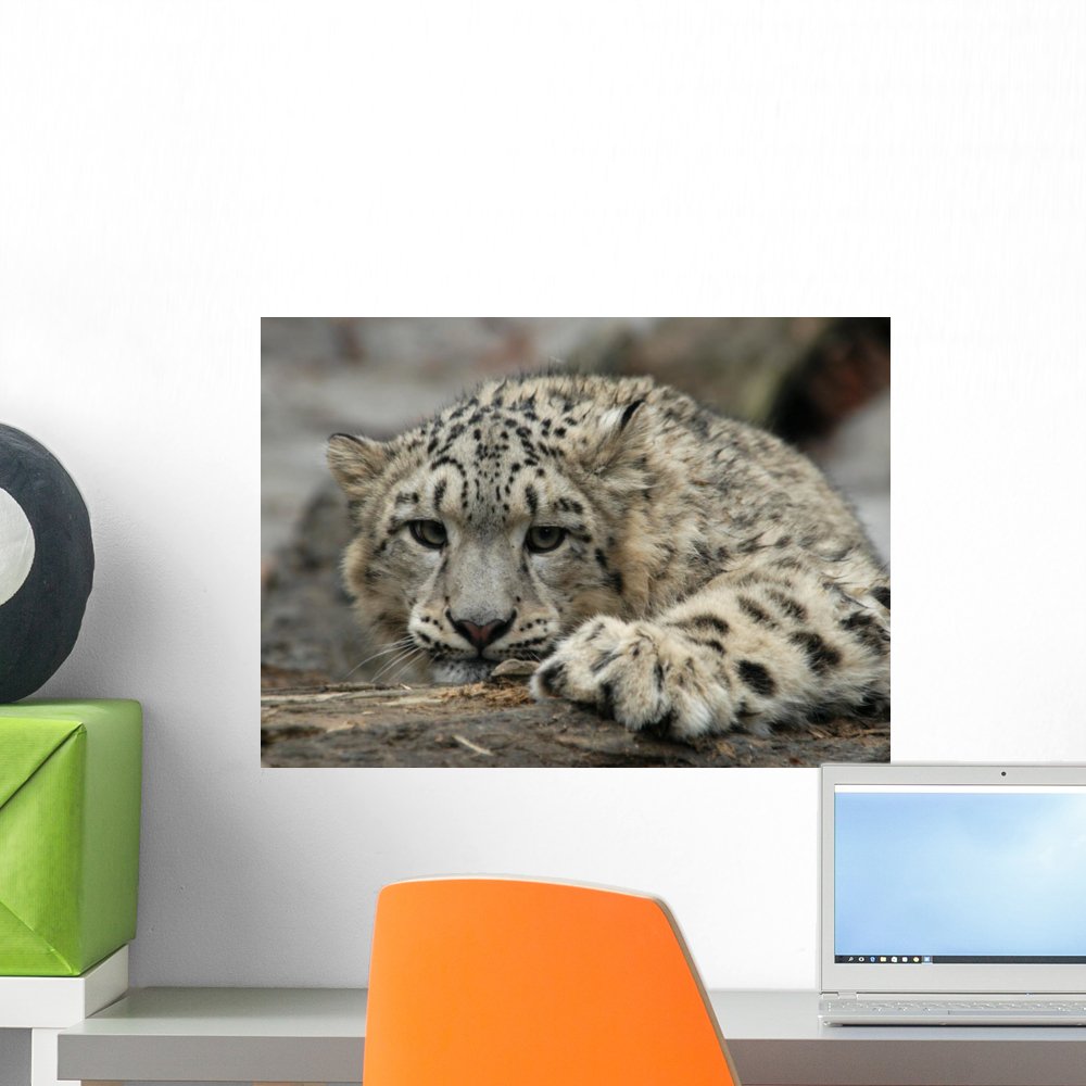 Wallmonkeys Snow Leopard Peel & Stick Wall Decal - 18x13 Inches - Removable Animal Wall Art for Nursery, Living Room, Bedroom Decor