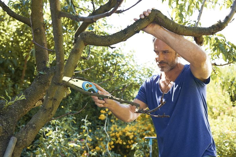 Gardena 200 P 8743 Folding Pruning Saw - 20 Inch Professional Garden Saw for Tree Trimming, Branch Cutting & Woodworking | Perfect for Landscaping, Camping & Outdoor DIY Projects