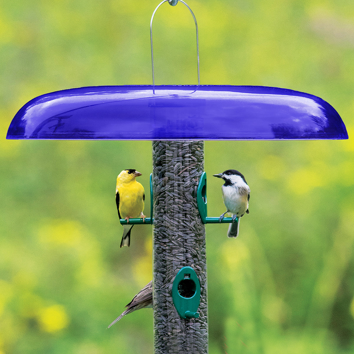 Duncraft Blue Slot Baffle for Bird Feeders - Squirrel Proof Bird Feeder Accessory for Outdoor Garden & Backyard Bird Watching