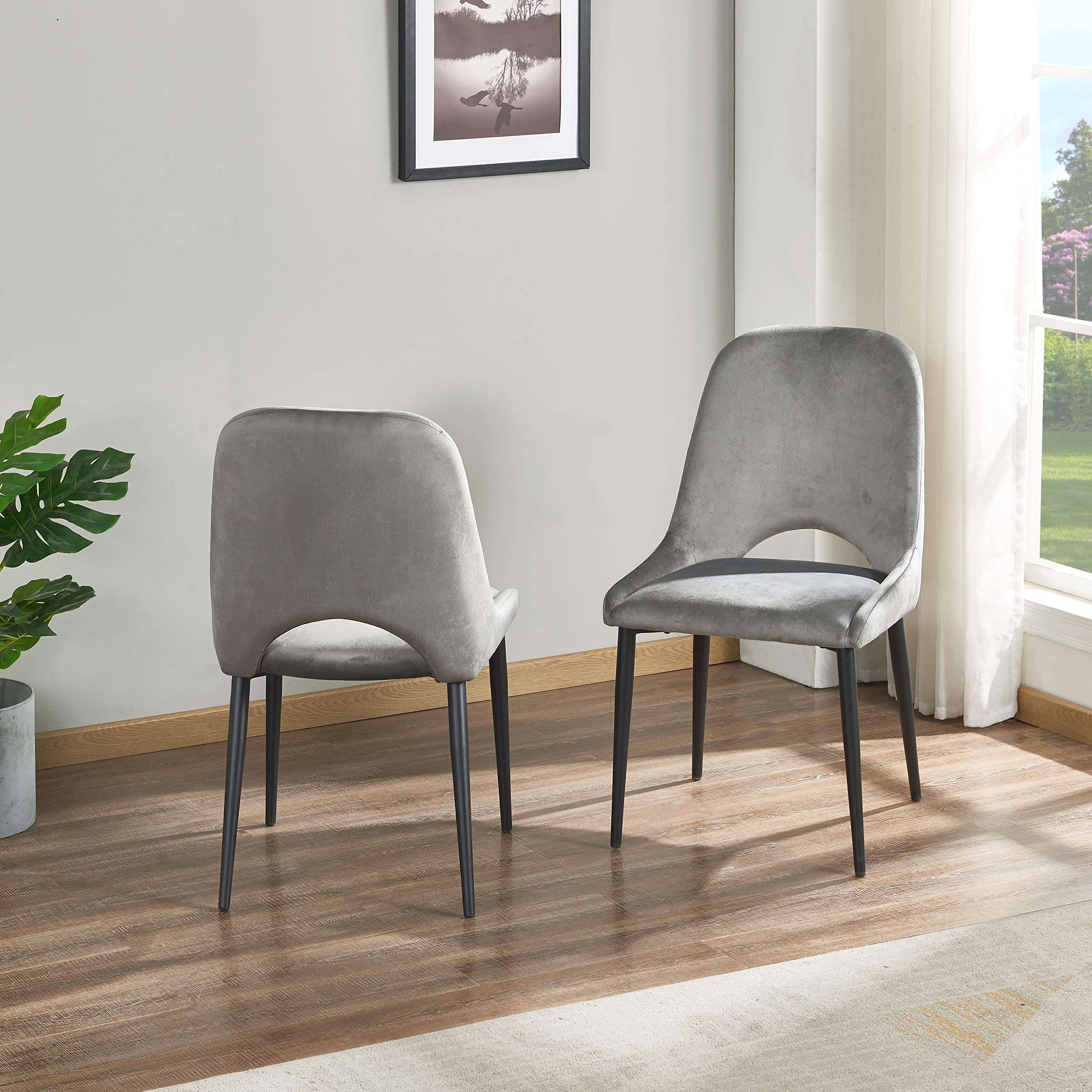 Velvet Upholstered Dining Chairs Set of 2 - Modern Armless Side Chairs with Sturdy Metal Legs for Dining Room, Kitchen, Living Room, Vanity or Patio | Perfect for Home Decor, Entertaining Guests & Small Space Dining