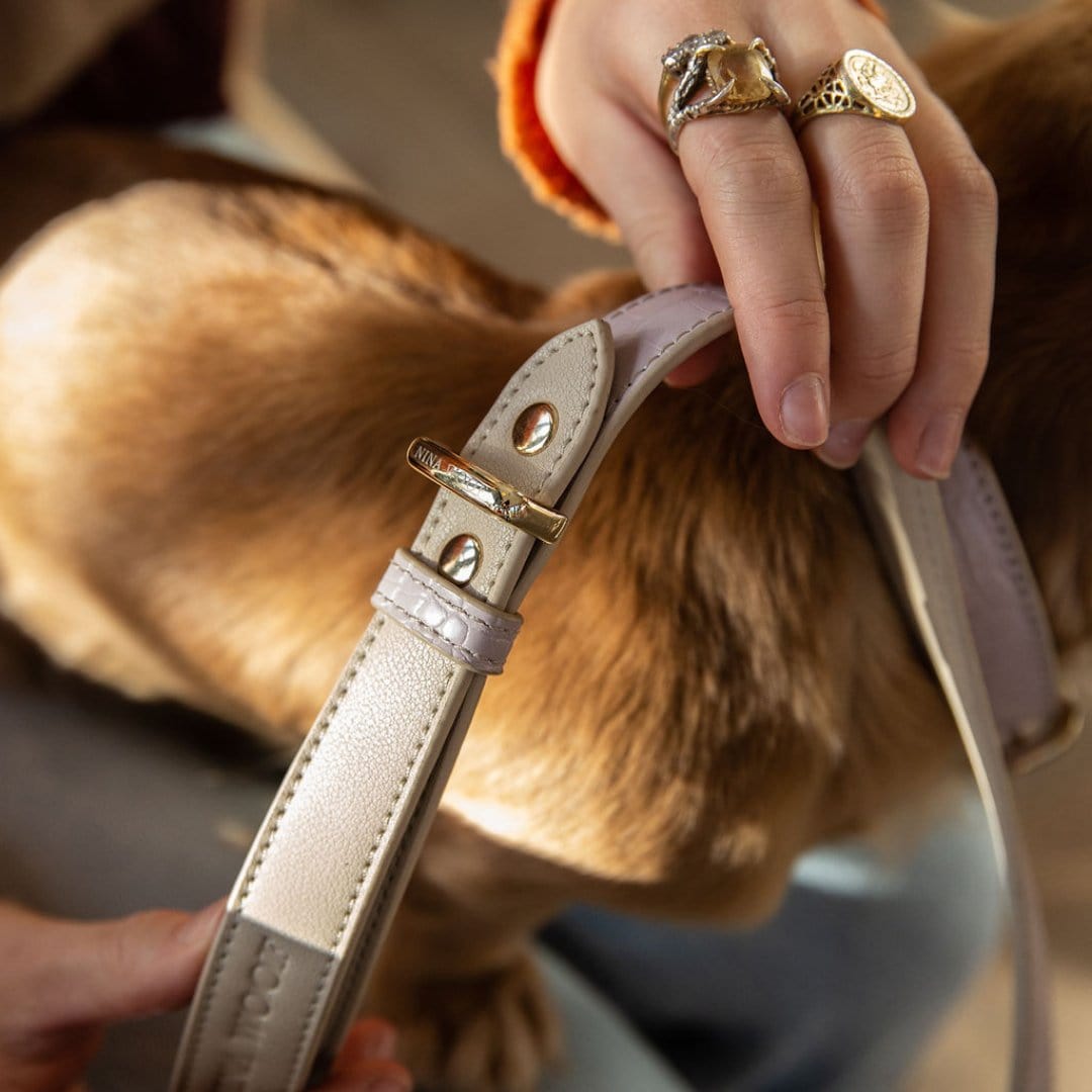 Premium 4ft Vegan Leather Dog Leash - Durable & Stylish Pet Leash for Small to Medium Dogs | Multiple Colors | Perfect for Walking, Training & Outdoor Adventures