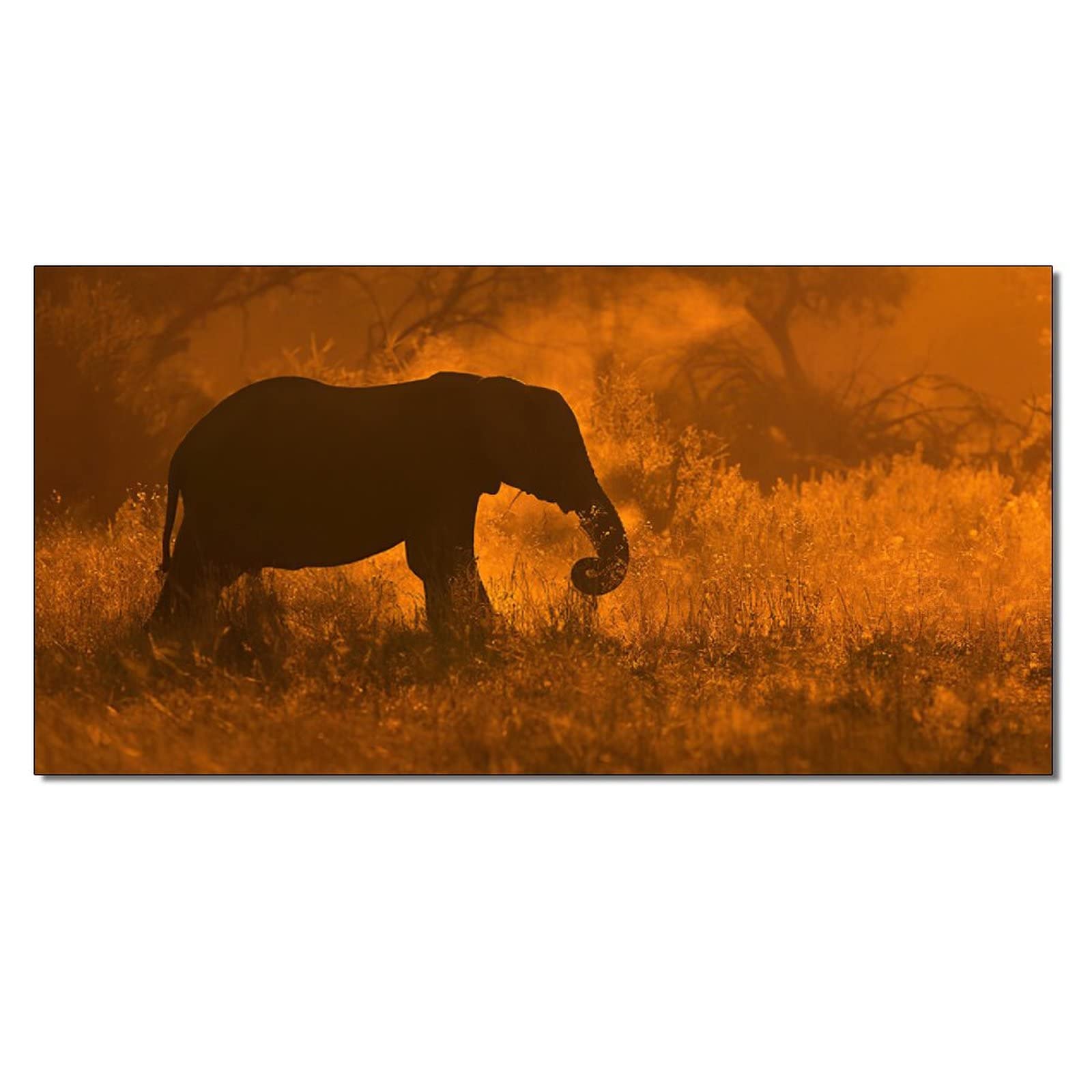 Elephant Sunset Prairie Canvas Wall Art - Hand-Painted Oil Painting Print for Living Room & Bedroom Decor - 16x32 Inch (40x80cm) - Perfect for Modern Home, Office & Gift Giving