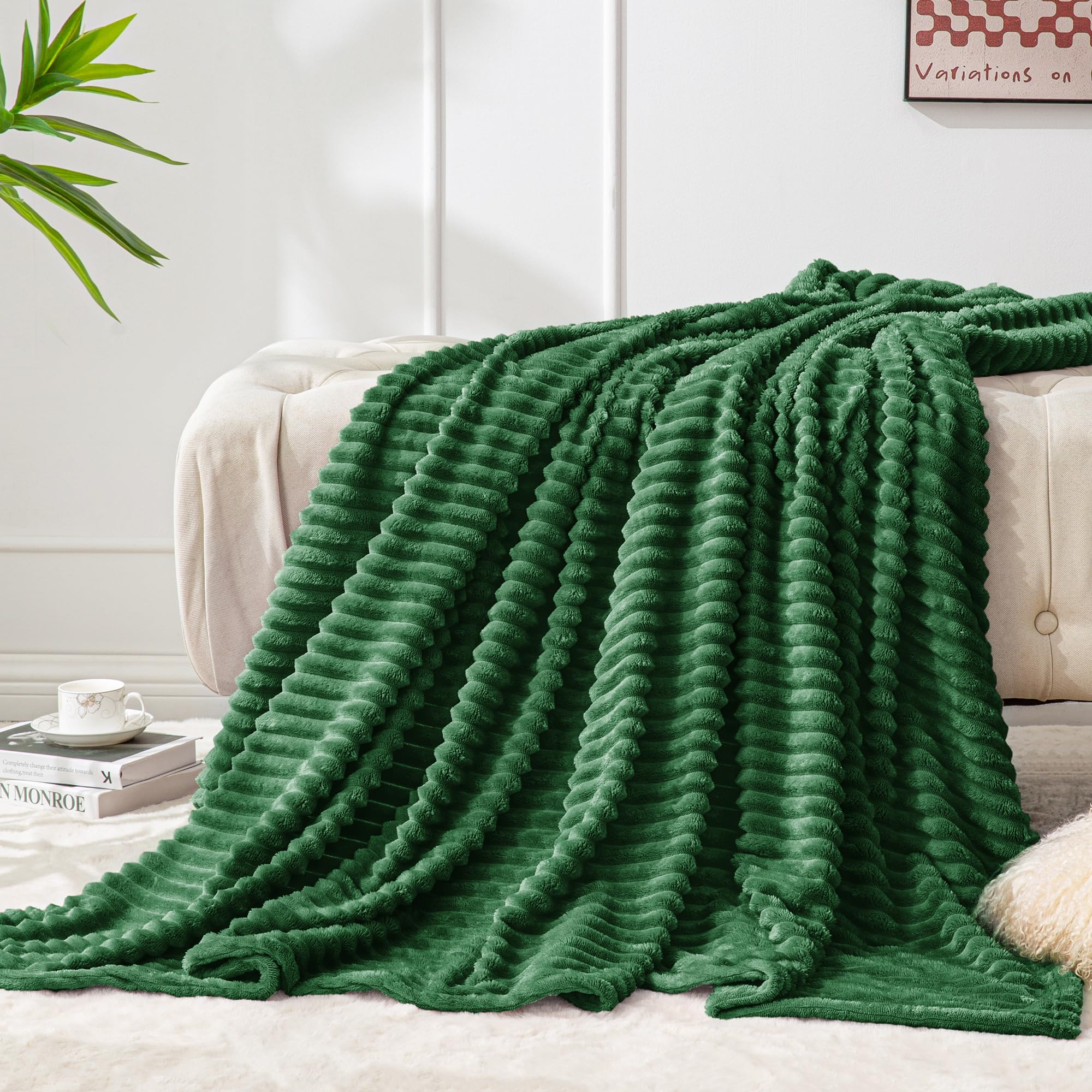 BEDELITE 3D Ribbed Jacquard Fleece Blanket - Twin Size 60x80 Inches - Ultra Soft, Warm & Plush Lightweight Throw Blanket for Bed, Couch, Sofa - Cozy Home Decor, Perfect for Winter Nights & Gift Giving (Green)