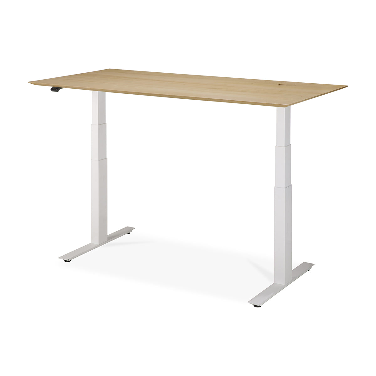 Adjustable Rectangle Office Desk with Cable Management - 160cm (Oak, White) | Ergonomic Home Office Furniture for Remote Work & Study