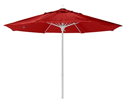 Cardinal Red with White Pole