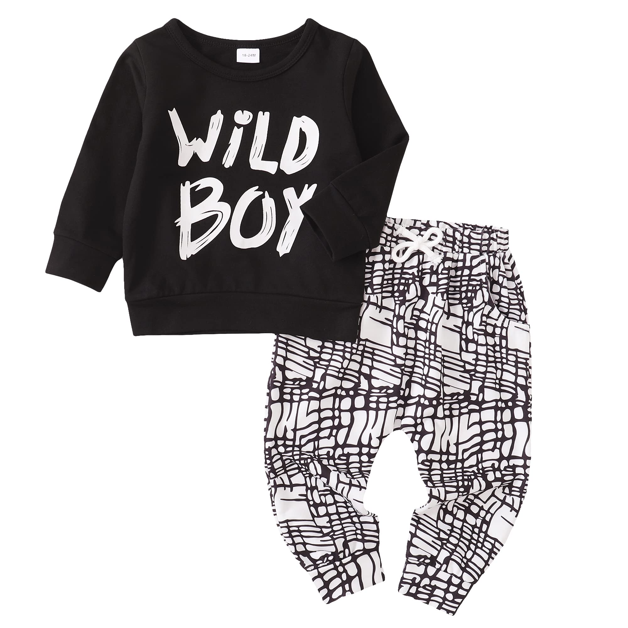 Toddler Boy Clothes Set - Long Sleeve Top & Pants for Fall Playtime