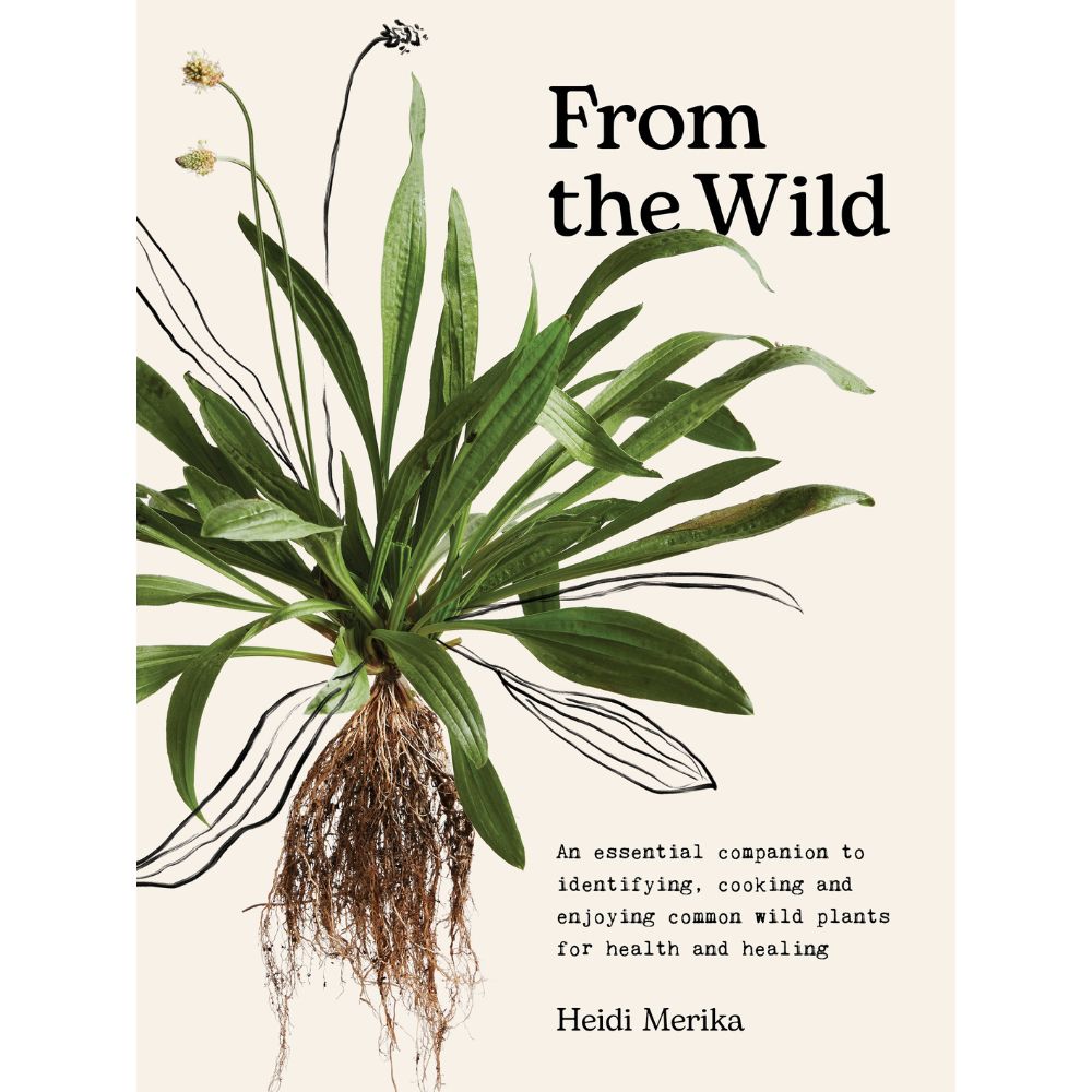 From the Wild - Premium Outdoor Gear & Adventure Essentials for Hiking, Camping, and Wilderness Exploration