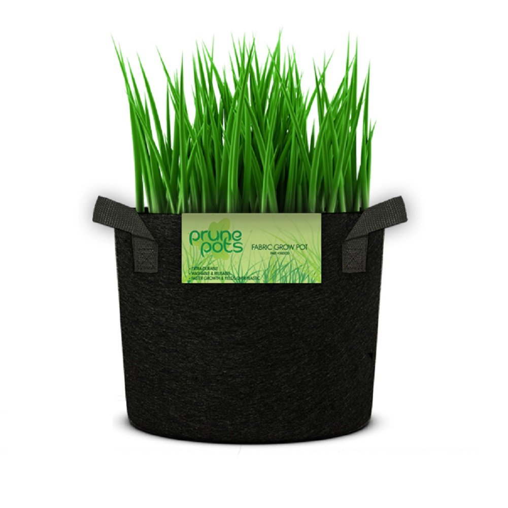 1 Gallon Hydroponic Fabric Grow Pots - 100 Pack of Breathable Prune Pots for Indoor/Outdoor Gardening, Plant Cultivation & Hydroponic Systems - Perfect for Vegetables, Herbs, Flowers & Seedlings