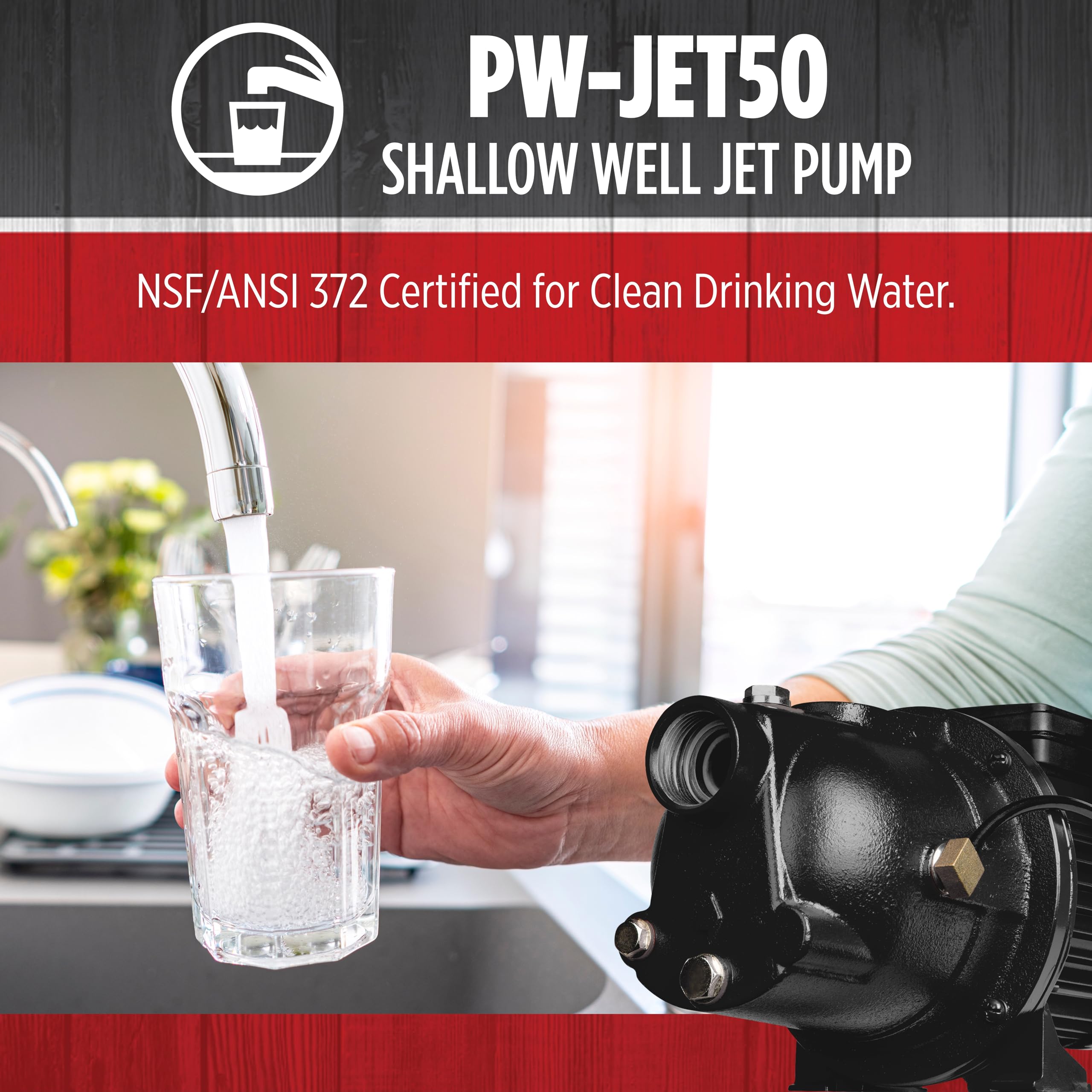 Red Lion PWJET50 1/2 HP Cast Iron Shallow Well Jet Pump - 7.4 GPM, 115/230V, Black (Model 97080501) - Perfect for Home Water Supply, Irrigation & Farm Use