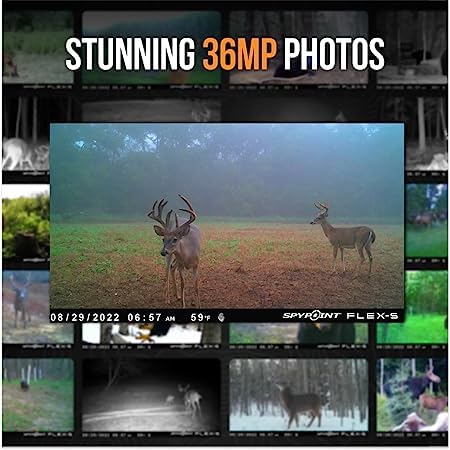 SPYPOINT Flex-S Solar Cellular Trail Camera (2 Pack) - Solar Powered LTE Game Camera with 100ft Night Vision, Internal Battery & Backup Option - Ideal for Hunting, Wildlife Monitoring & Outdoor Security