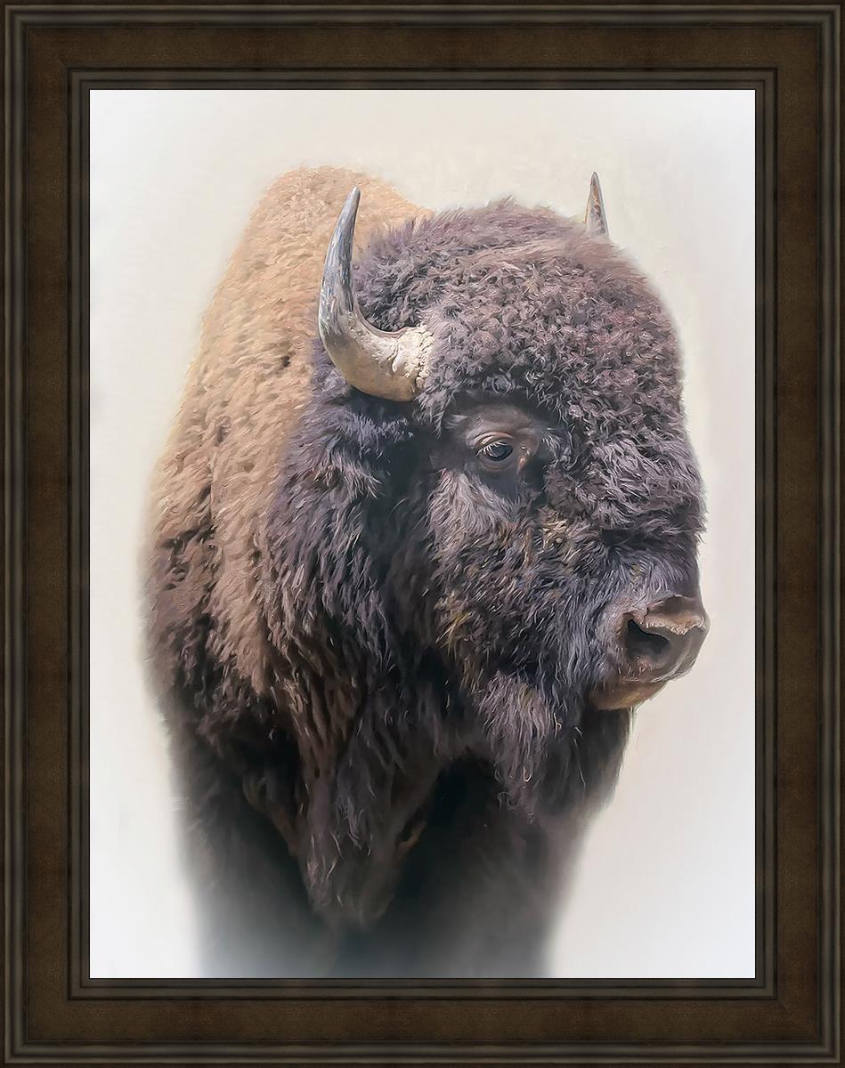 Bison By Matthew Grant | Premium Bison Meat & Jerky | High-Protein Snacks for Camping, Hiking & Outdoor Adventures