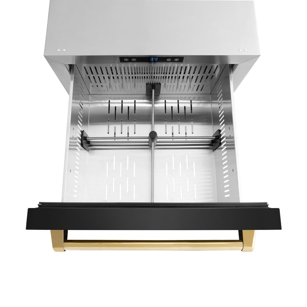 ZLINE Autograph Edition 24 Inch Touchstone 168 Can Outdoor Rated Dual Refrigerator Drawer - Black Stainless Steel with Polished Gold Handles (RDSOZ BS 24 G) | Perfect for Outdoor Kitchens, Patio Bars & Entertaining Areas