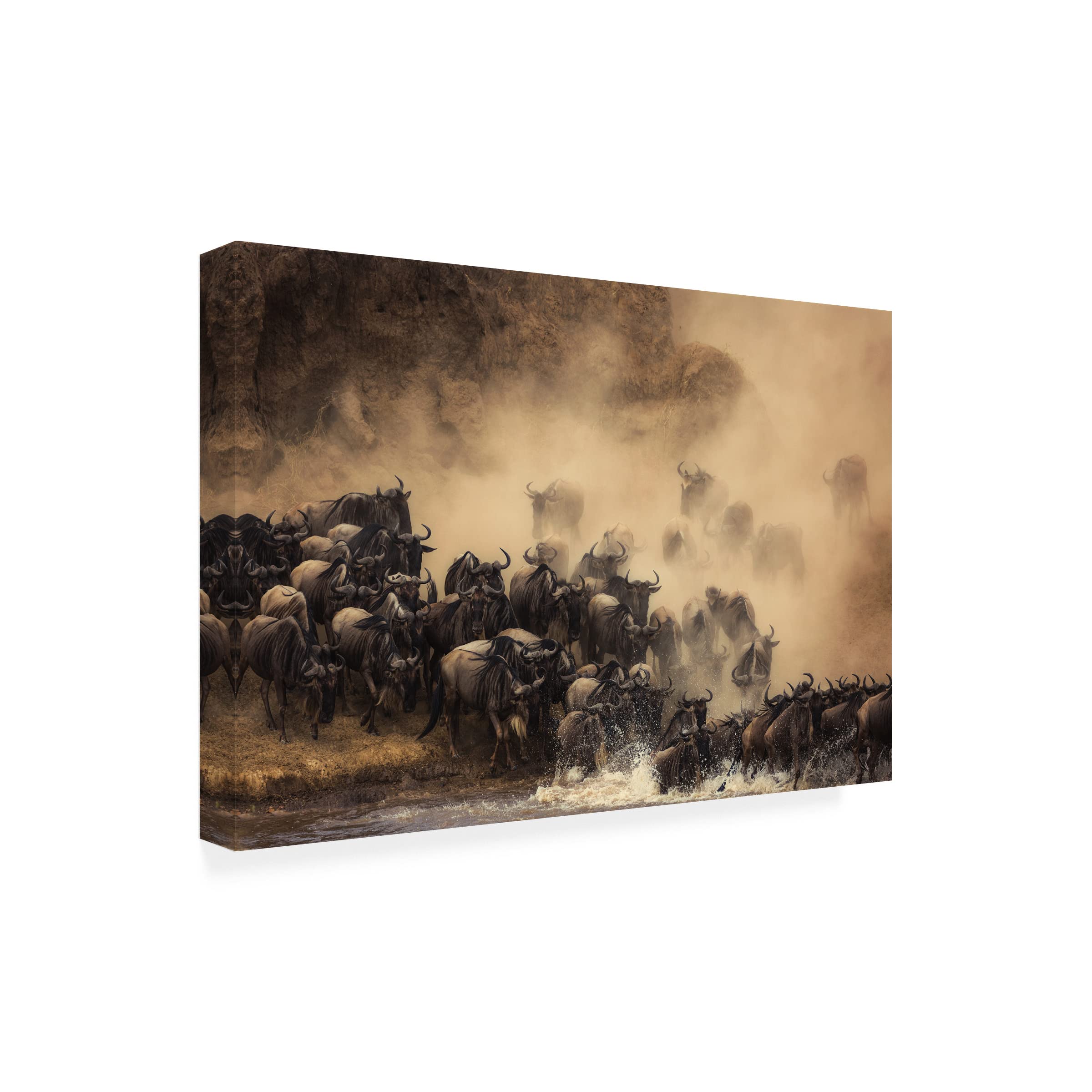 Trademark Fine Art 'The Crossing' Canvas Wall Art by Waheed Alfazari - Modern Abstract Painting for Living Room, Bedroom & Office Decor