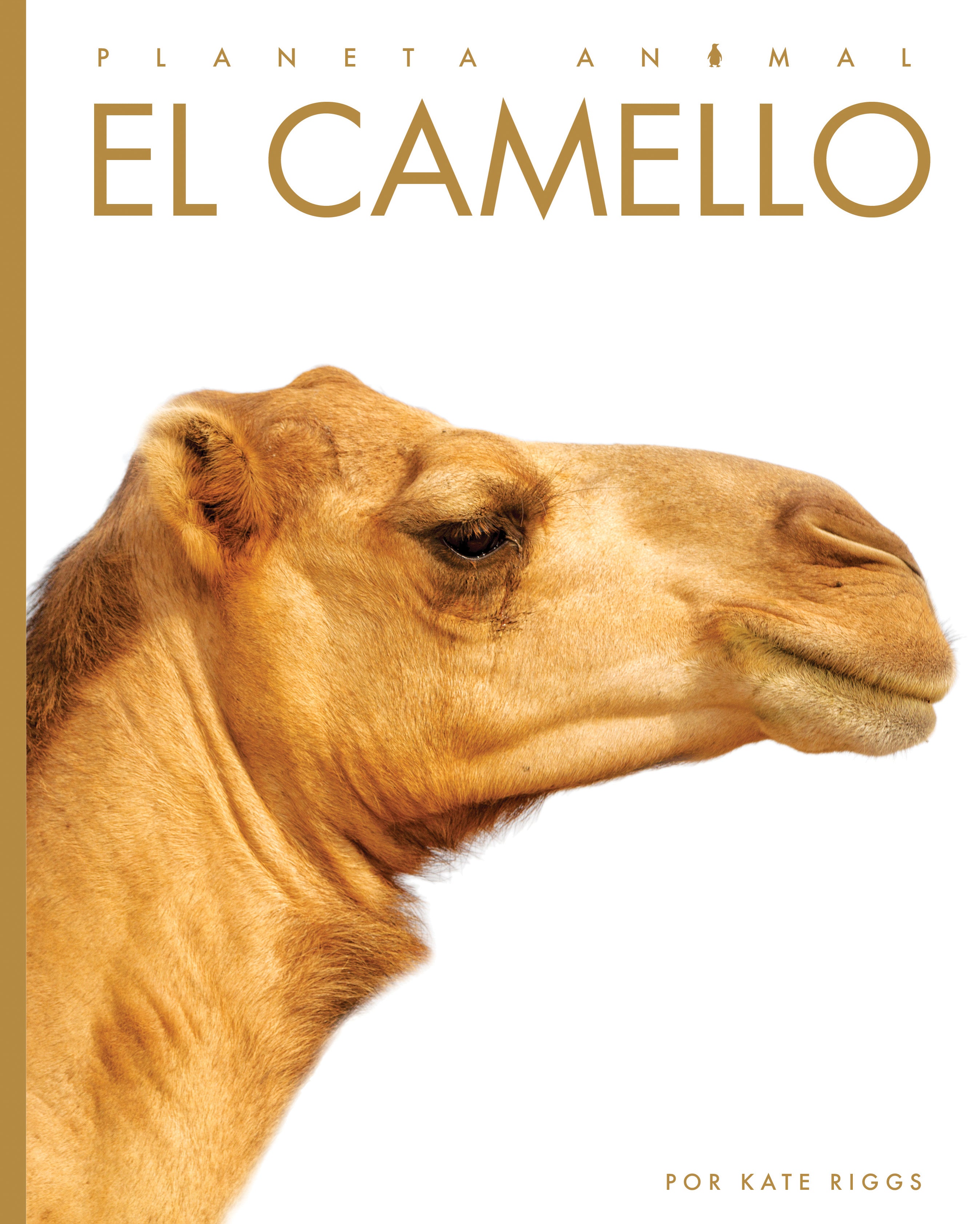 El Camello Book 9781640266704 - Spanish Language Novel for Adults, Perfect for Reading & Book Clubs