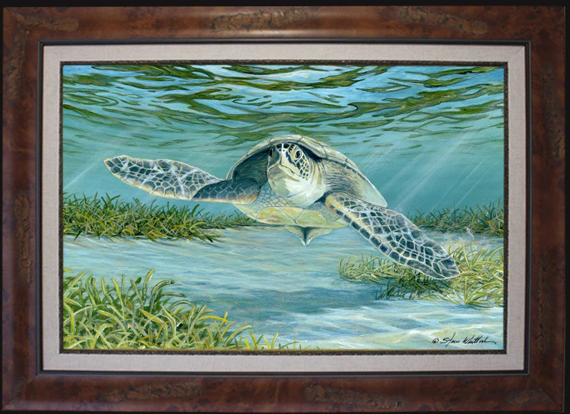 Steve Whitlock Game Fishing Art - Stunning Marine Wildlife Paintings for Home & Office Decor | Perfect for Anglers & Ocean Lovers