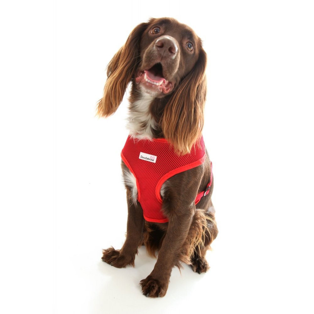 Red Extra Small Dog Harness - Adjustable & Reflective for Small Dogs - Perfect for Walking, Hiking & Outdoor Adventures