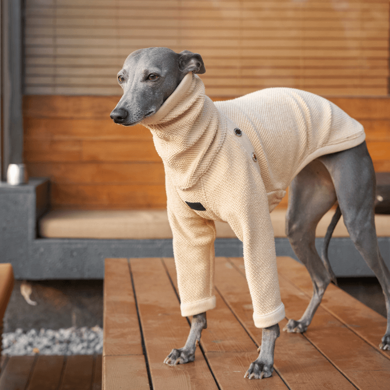 Hampton Sweater for Women & Men - Cozy Knit Pullover for Fall & Winter - Perfect for Casual Wear, Office, and Outdoor Activities