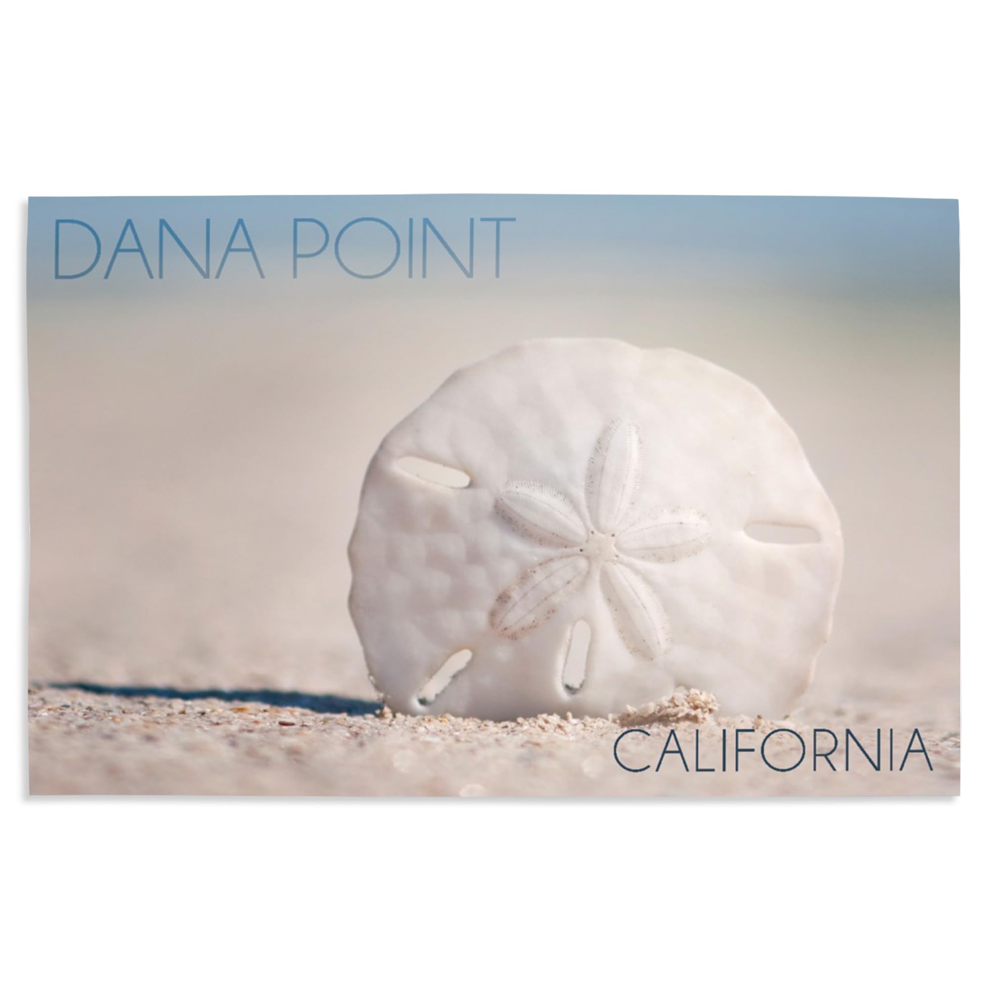 Lantern Press 16x24 Inch Giclee Art Print - Coastal Wall Decor Featuring Dana Point California Beach with Sand Dollar | Perfect for Living Room, Bedroom or Beach House Decor