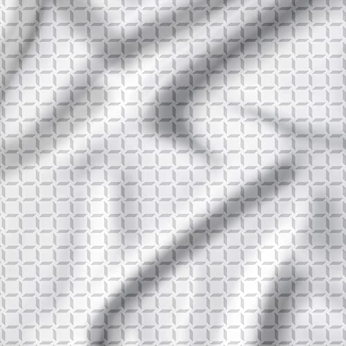 Windowpane