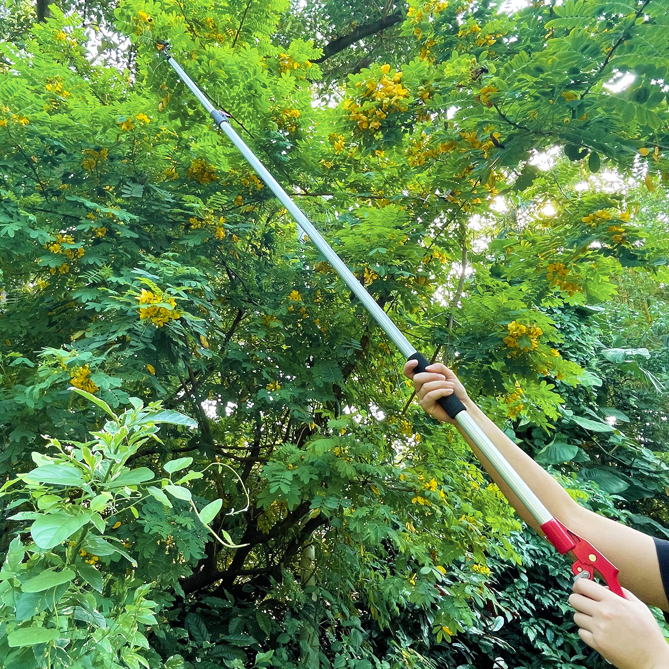 4.5-7.3 FT Extendable Tree Trimmer with Pole Saw & Pruner - Lightweight Aluminum Telescoping Branch Cutter for Yard Maintenance, Gardening, and Landscaping