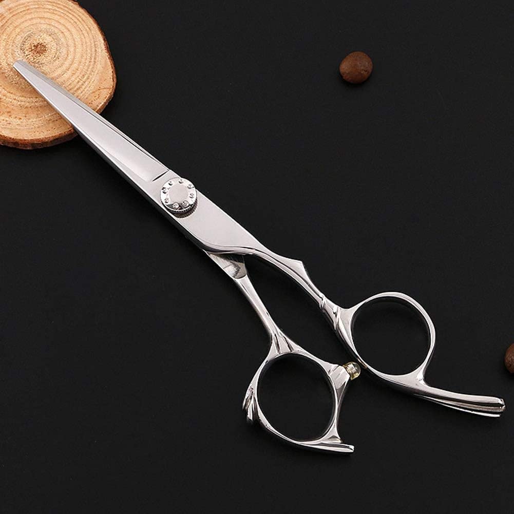 Professional Hairdressing Scissors 5.5 Inch - Salon Grade Barber Shears for Precision Hair Cutting - Silver Stainless Steel Flat Cut Teeth Scissors - Perfect for Salon Stylists & Home Haircuts