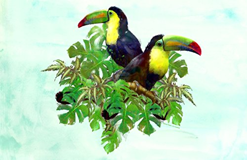 Toucan Friends
