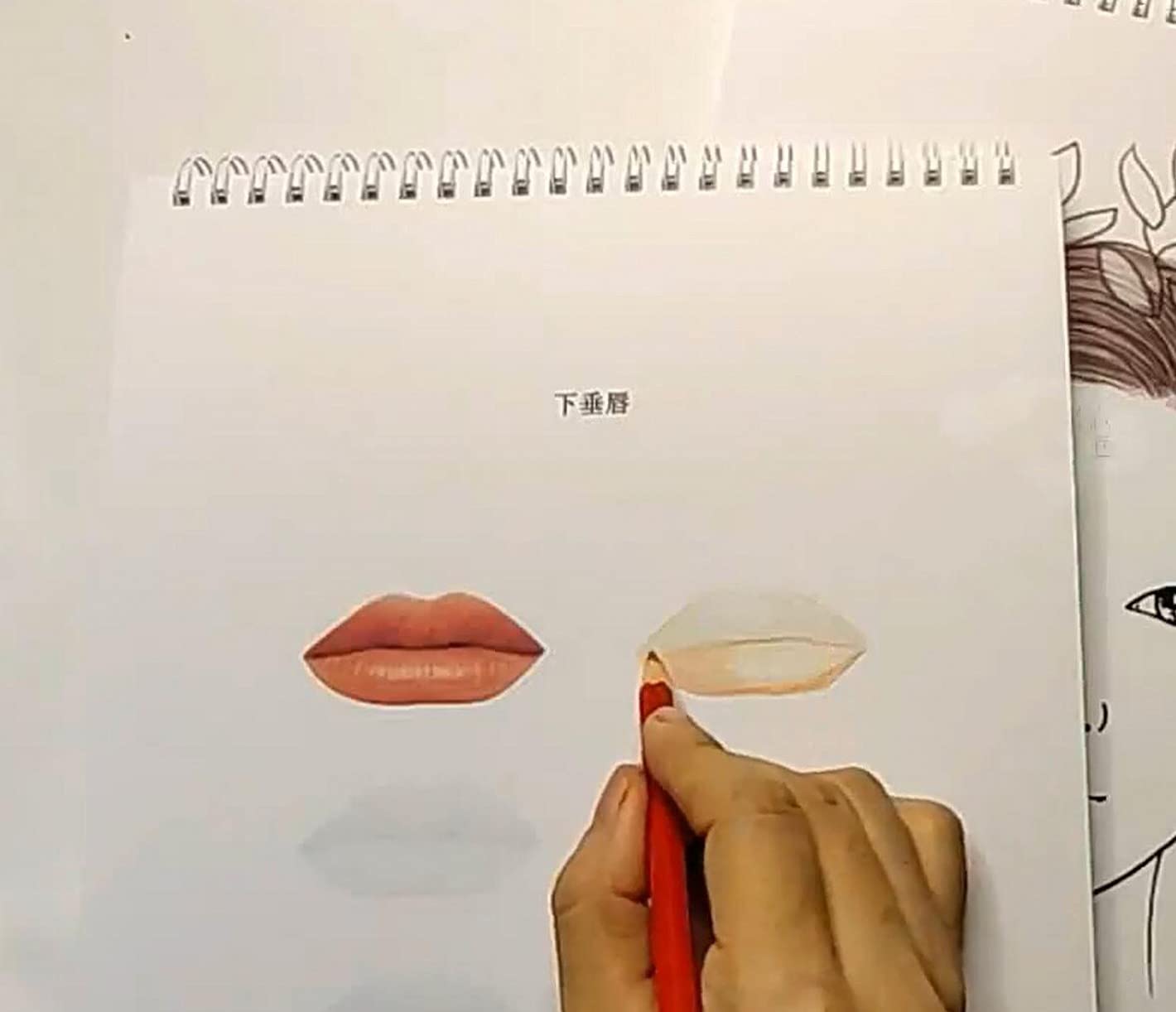 WellieSTR 62-Page Makeup Practice Book for Eyebrow, Eyeshadow & Lip Art - A4 Makeup Artist Training Workbook with Drawing Charts | Perfect for Beginners & Professionals, Salon Practice & Beauty School Training