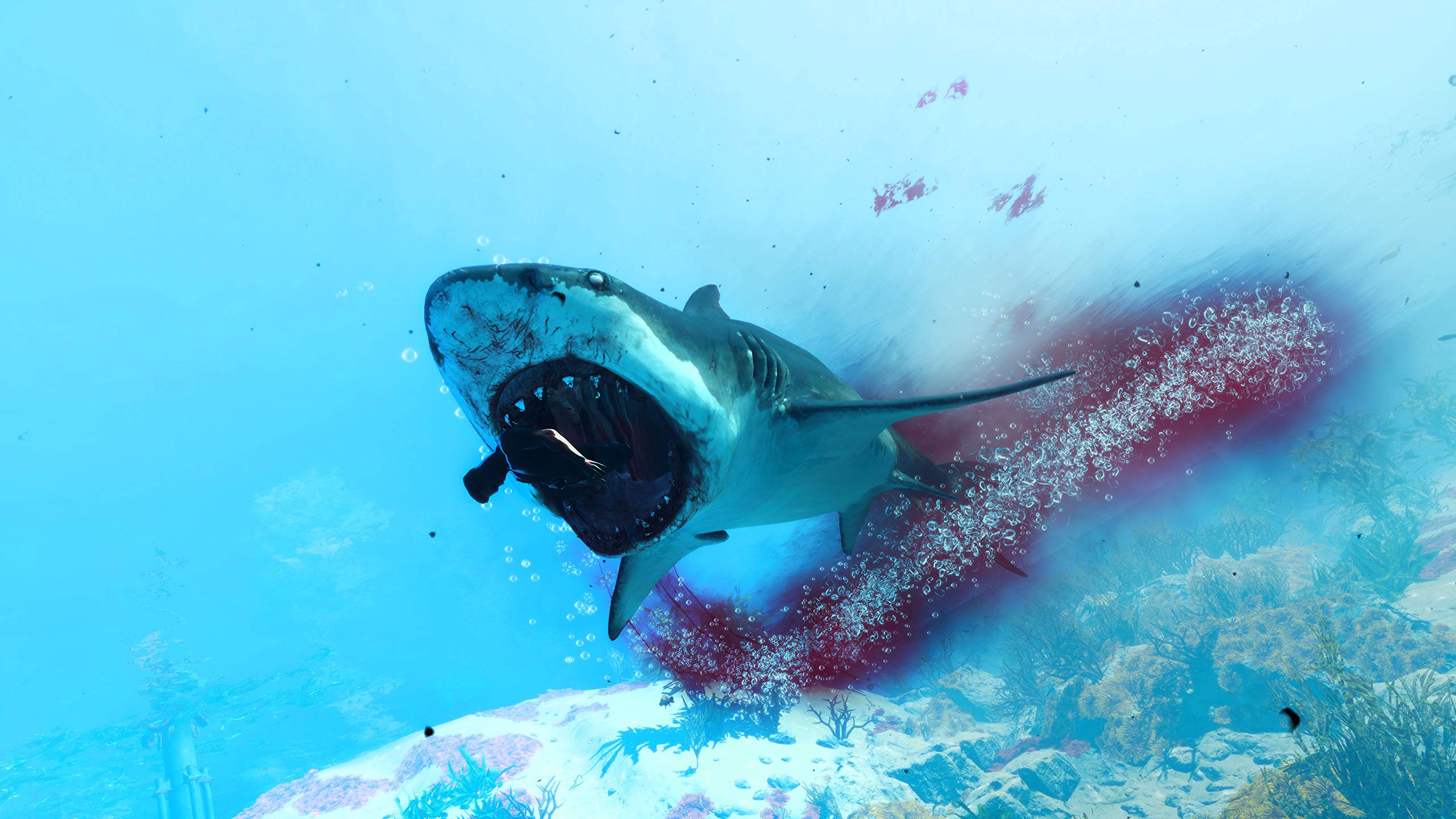 Maneater - PS4 Game for PlayStation 4 | Action RPG Underwater Adventure | Perfect for Shark Lovers & Open-World Gamers | Great for Single-Player Story Mode & Casual Gaming Sessions