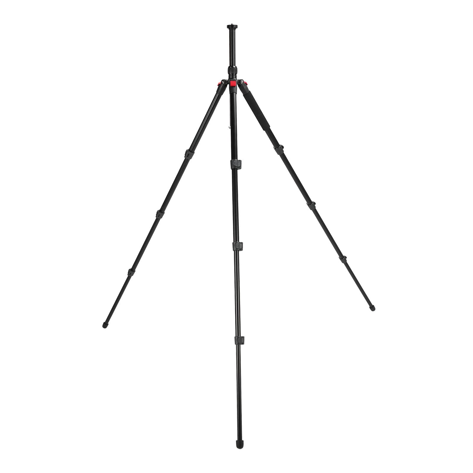 Professional 63.89