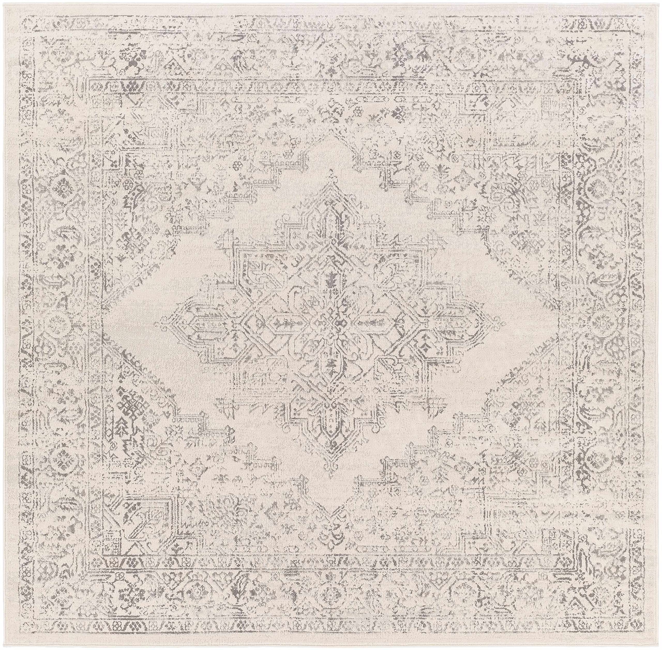 Hauteloom Tamarama Traditional Gray Area Rug 6'7
